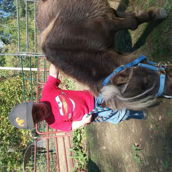 Meet your Posher, Daniele - Picture 1 of 1